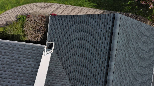Best Roof Moss and Algae Removal  in Carthage, MS