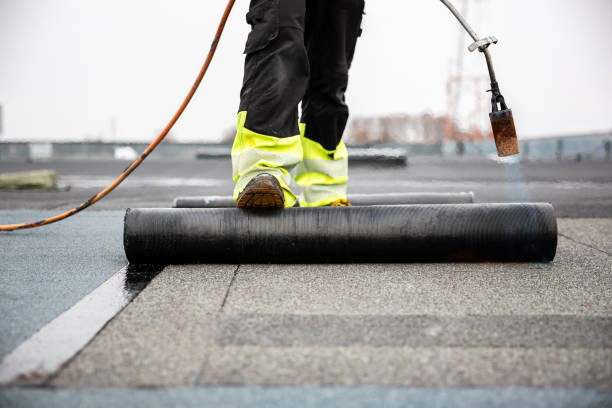 Best Cold Roofs  in Carthage, MS